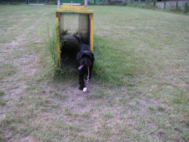Bild 049.jpg